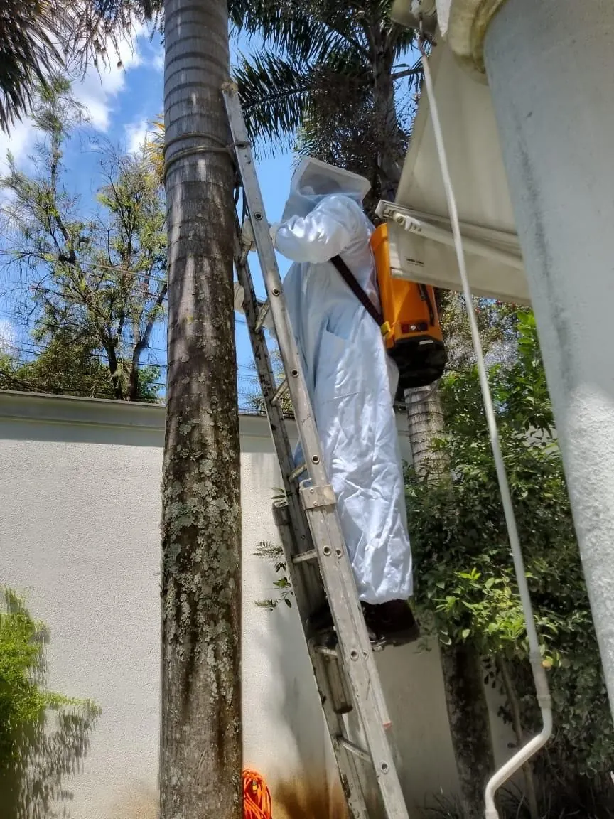 Equipe Naoki em atendimento de controle de pragas em área externa de residência