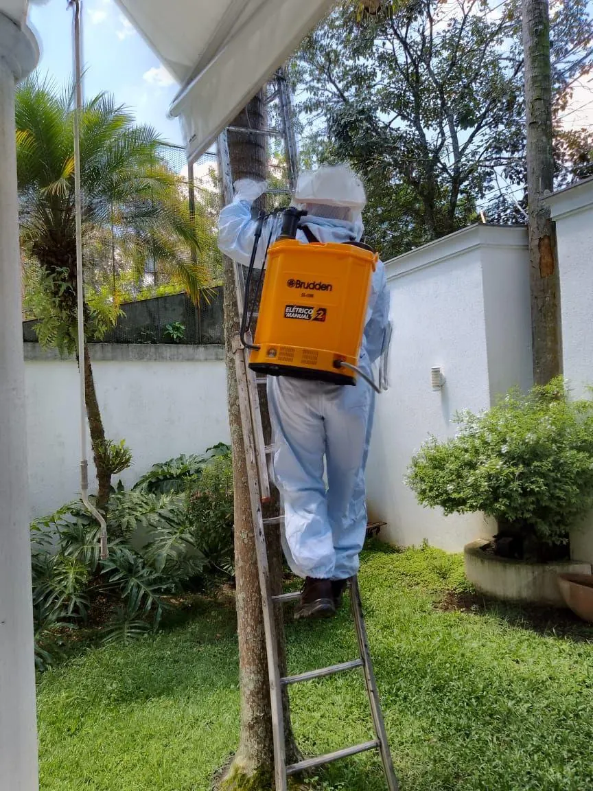 Técnico da Naoki com EPI completo aplicando tratamento em palmeira